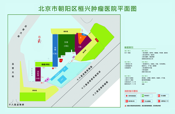 啊啊啊啊啊操我逼逼北京市朝阳区桓兴肿瘤医院平面图